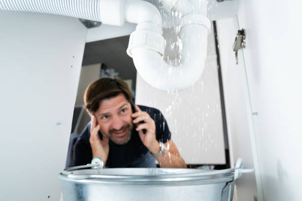 Best Plumbing Inspection Services  in South Woodstock, CT